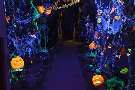 Black Light Forest Overall Shot                                                                                                                                                                                 More Halloween Yard Haunt, Blacklight Halloween, Outside Halloween Decorations, Light Forest, Halloween Maze, Glow Halloween, Casa Halloween, Yard Haunt, Halloween Inflatables