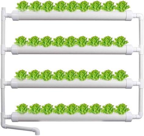 INTBUYING Wall-Mounted PVC Hydroponics Growing System, 36 Plant Site Grow Kit for Leafy Vegetables Indoor Herb Garden with Air Pump, Planting Sponges -Grow Fast at Home-4 Pipes : Amazon.ca: Patio, Lawn & Garden Indoor Hydroponic Gardening, Planting Lettuce, Hydroponic Gardening System, Vegetables Garden, Vegetable Planters, Planting Tools, Indoor Greenhouse, Hydroponic Growing, Vertical Farming