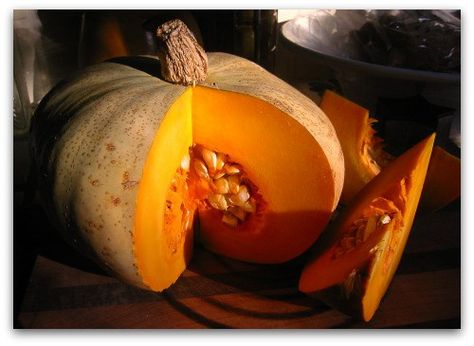 Sweet Meat Squash: Stores Well, Tastes Great Pasta With Butternut Squash, Butternut Squash And Sage, Gold Vault, Sage Recipes, Squash Varieties, Butternut Squash Pasta, Squash Seeds, Good Pie, Heirloom Vegetables