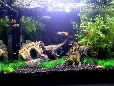 Real plant dinosour tank decoration Western Fish Tank Decor, Dinosaur Fish Tank, Fish Tank For Kids, Guppy Tank, Tropical Fish Tank, Axolotl Tank, Diy Fish Tank, Tropical Fish Tanks, Pretty Fish