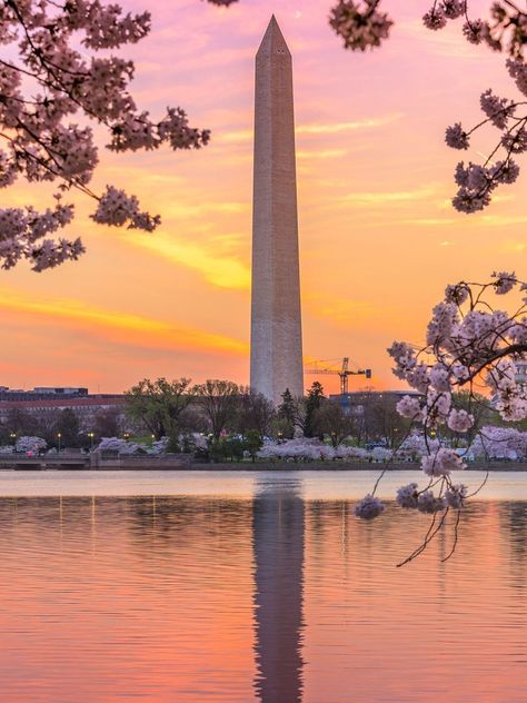 Awe-inspiring views of the Washington Monument Wall Motivation, Beautiful Monuments, Dc Aesthetic, Building References, Washington Monument, 2023 Christmas, Maria Sharapova, Famous Landmarks, Iconic Landmarks