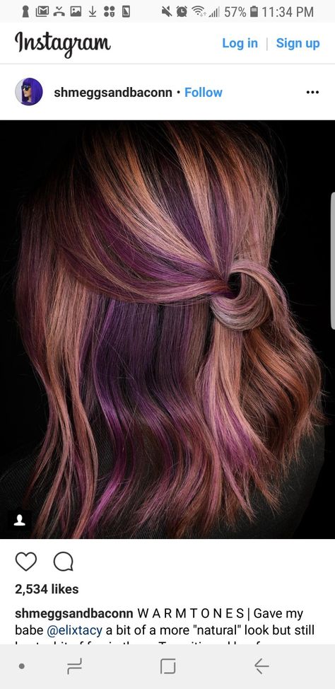 Short Hair With Peekaboo Color, Fun Professional Hair Color, Copper And Purple Hair Highlights, Block Highlights Hair, Golden Brown Hair With Purple Highlights, Plum And Blonde Hair, Light Brown Hair With Colored Highlights Fun, Copper And Violet Highlights, Blonde Balayage With Purple