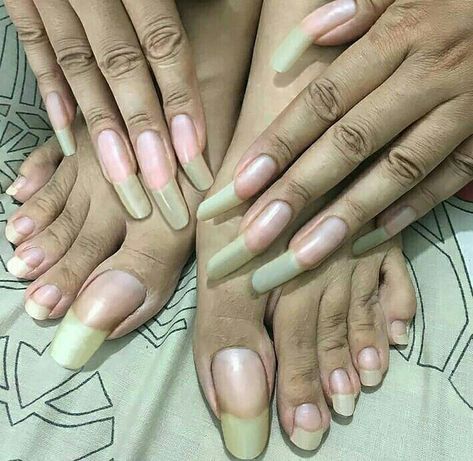 Really Long Nails, Long Natural Nails, Long Toenails, Long Fingernails, Curved Nails, Nail Bed, How To Grow Nails, Fabulous Nails, Long Acrylic Nails