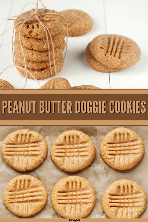 Whether you’re searching for homemade recipes to make for a new puppy pal, or something that can satisfy your longtime companion, these peanut butter doggie cookies will be perfect! Doggy Cookie Recipes, Dog Safe Christmas Cookies, Puppy Cookies Doggie Treats, Dog Sandwich Cookies, Dog Friendly Cookie Recipe, Oatmeal Cookies For Dogs, Dog Safe Cookies, Dog Cookie Decorating, Soft Dog Treats For Older Dogs