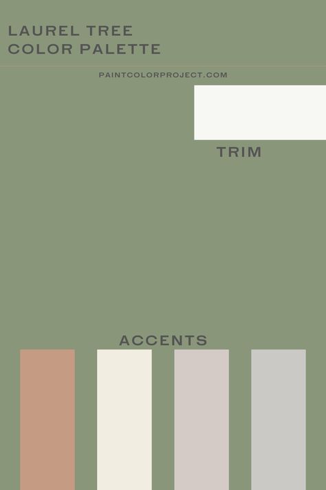 Here are the best coordinating colors to pair with Behr Laurel Tree. Laurel Tree Behr Paint, Behr Laurel Tree, Tree Color Palette, Sage Color Palette, Laurel Tree, Laurel Green, Behr Paint Colors, Behr Paint, Paint Color Schemes