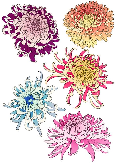 Crisantemo Tattoo, Tato Ikan Koi, Pose Mode, Japanese Flower Tattoo, Japanese Chrysanthemum, Chrysanthemum Tattoo, Illustration Blume, Flower Sketches, Japanese Tattoo Art