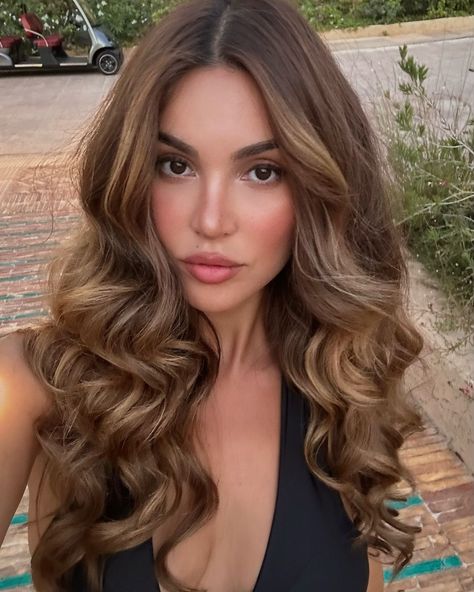 All posts • Instagram Begin Mirsalehi Hair, Negin Mirsalehi Hair, Negin Mirsalehi, Brunette Hair With Highlights, Brunette Hair, Powerful Women, Hair Highlights, Hair And Nails, Women Empowerment