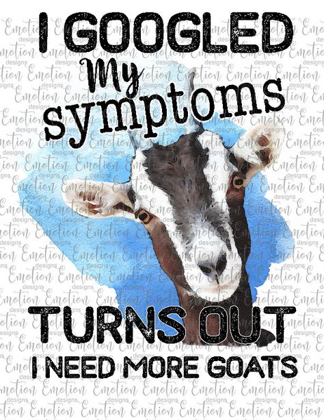 Goat Quote, Goat Art, Raising Goats, Goats Funny, Goat Shirts, Cute Goats, A Goat, Goat Farming, Happy Fall Y'all