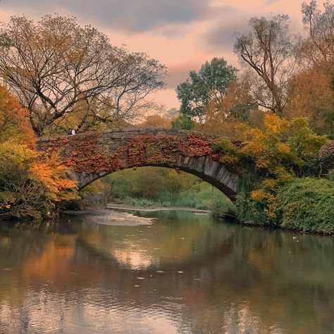 Bridge Wallpaper, Pic Pic, Painting References, Central Park Nyc, Small Lake, Deco Pattern, Art Deco Pattern, Autumn Scenery, Nature Art Painting