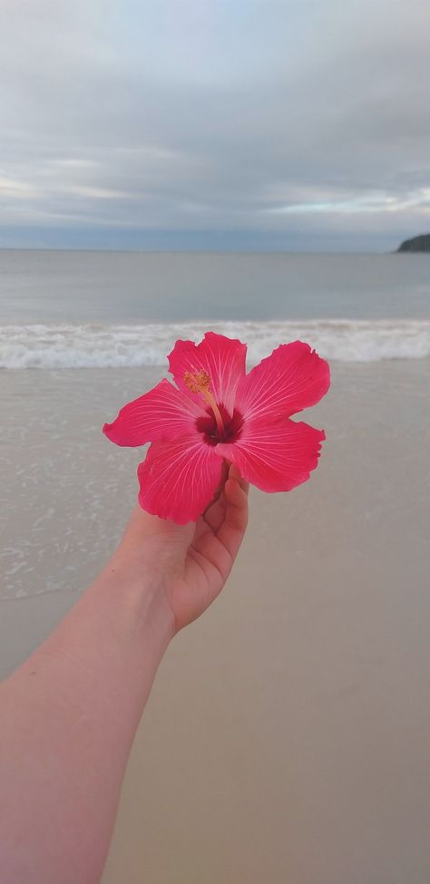 Summer Phone Theme Widgets, Hot Pink Summer Wallpaper, Hot Pink Beach Aesthetic, Tropical Pink Aesthetic, Tropical Background Aesthetic, Hot Pink Flower Wallpaper, Hot Pink Flowers Aesthetic, Hot Pink Summer Aesthetic, Beach Flowers Aesthetic