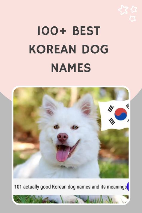 Korean names are becoming increasingly popular for dogs because of the country’s rich culture and language. Here we have found some of the best and most Korean Name For Dog, Korean Pet Names, Korean Dog Names, Dog Symbolism, Puppy Girl Names, Pet Names For Dogs, Korean Girls Names, Puppy Advice