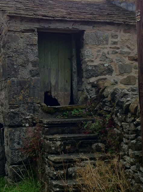 Victorian Yorkshire, Yorkshire Aesthetic, Cosy Aesthetic, English Farmhouse, Gloomy Day, Urban Area, Brickwork, Yorkshire, Cottage Garden