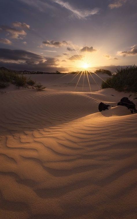 Deserts Of The World, Spain Photography, Desert Life, William Blake, The Ballet, Beautiful Sunrise, Desert Landscaping, In The Desert, Sand Dunes