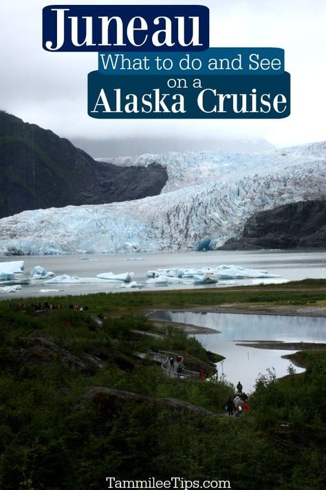 What to see and do in Juneau on an Alaska Cruise! Excursions, walking into town, whale watching, wildlife, bars and more! Alaska In October, Alaska Cruise Excursions, Alaska Travel Cruise, Travel Caribbean, Homer Alaska, Visit Alaska, Cruise Excursions, Alaskan Cruise, Travel Route