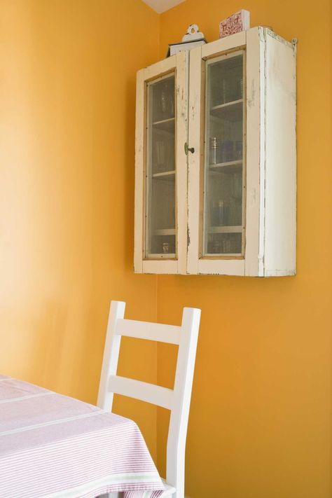 How to Decorate With Tangerine Walls Tangerine Wall Color, Tangerine Walls, Mandarin Watercolor, Healthy Garden, Downstairs Bathroom, Wall Paint, This Is Us, Home Improvement, Home And Garden