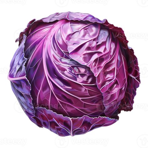 Purple Cabbage on Transparent Background Purple Cabbage, Royalty Aesthetic, Cabbages, Cityscape Photos, Logo Banners, Nature Backgrounds, Heart With Arrow, Background Banner, The Purple