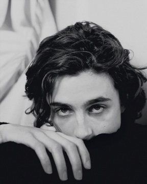 I Only See You, Kampot, Timmy T, Regulus Black, The Perfect Guy, Timothee Chalamet, Look At You, New Yorker, Celebrity Crush