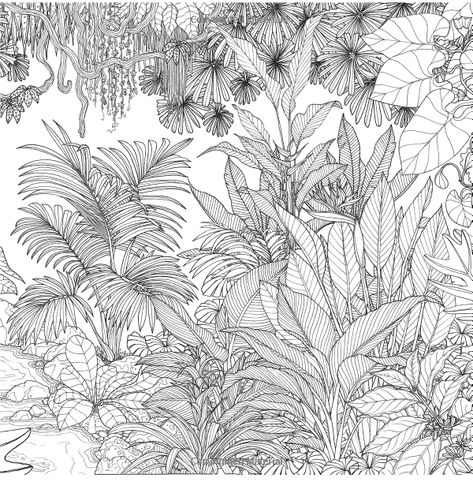 Rainforest Escape: My Island Animal, Exotic Flower and Tropical Plant Color Book: Jade Gedeon: 9781624143182: Books - Amazon.ca Plants Coloring Pages, Botanical Line Drawing, Forest Plants, White Leaves, Color Book, Plant Drawing, Tropical Art, Botanical Drawings, Black And White Drawing