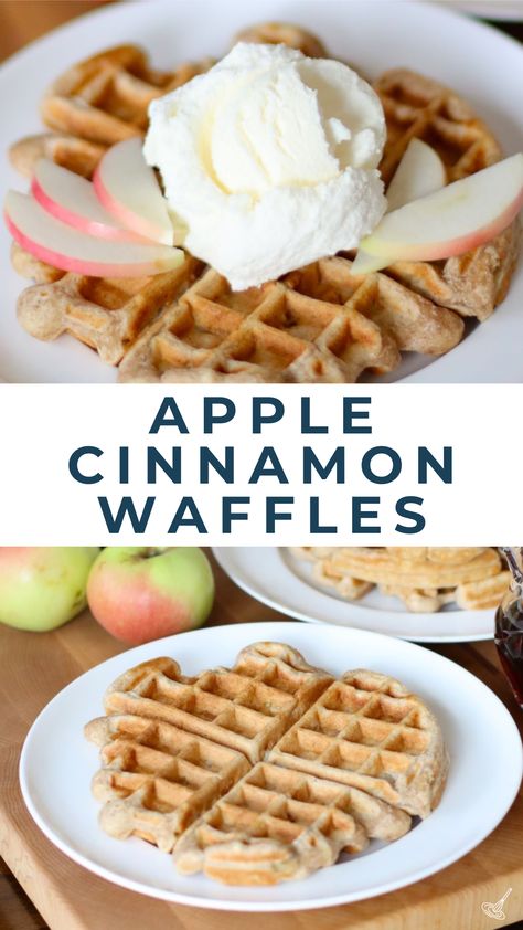 Apple Cinnamon Waffles Healthy Cinnamon Waffles, Greek Yogurt Waffles, Apple Cinnamon Waffles, Apple Waffles, Cheese Ramen, Waffles For Breakfast, Greek Yogurt Eggs, Wild Rice Soup Recipes, Cinnamon Waffles