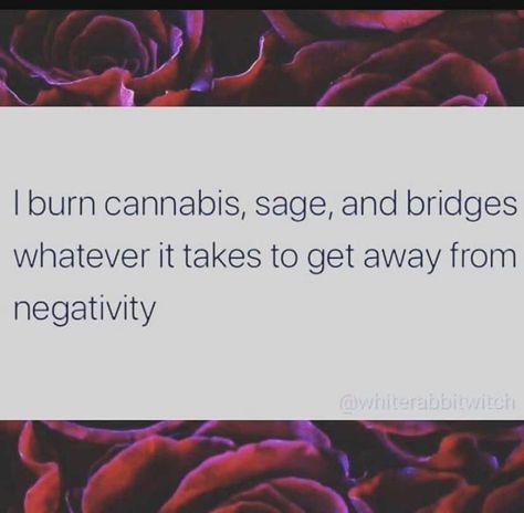 Burn Sage, The Desire Map, Burning Sage, Burning Bridges, Postive Life Quotes, Study Quotes, Spiritual Manifestation, Spiritual Wisdom, Zodiac Quotes