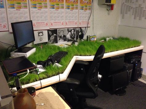 Grass desktop prank. Worker was out of the office for 3 weeks and came back to find his desk a little "soiled." Best April Fools, Funny Christmas Photos, Office Pranks, Cool Office Desk, April Fools Joke, Lawn Design, Funny Memes About Girls, Office Games, Best Office