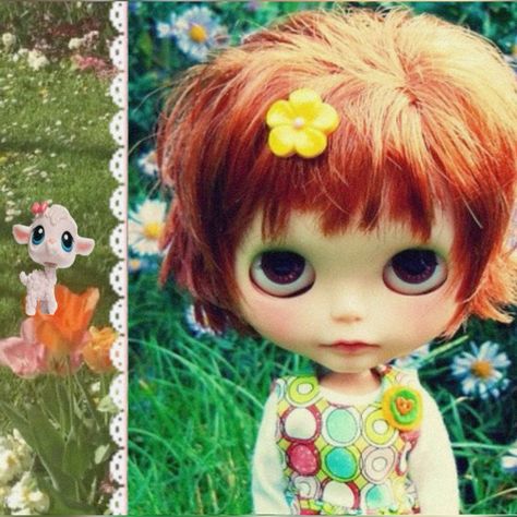 #doll #blythe #lps #moodboard #cutecore Blythe Doll Icon, Blythe Doll Aesthetic, Lps Blythe, Bythle Dolls, Lps Aesthetic, Blythe Crochet Pattern, Short Haired Blythe Doll, Choco Biscuit, Blythe Photography