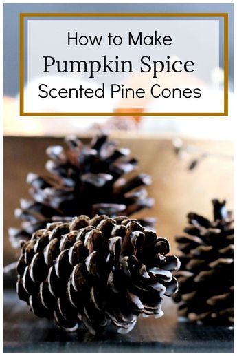 Scented Pine Cones, Homemade Potpourri, Diy Cinnamon, Scented Pinecones, Pinecone Crafts Christmas, Potpourri Recipes, Diy Scent, Pine Cone Art, How To Make Pumpkin