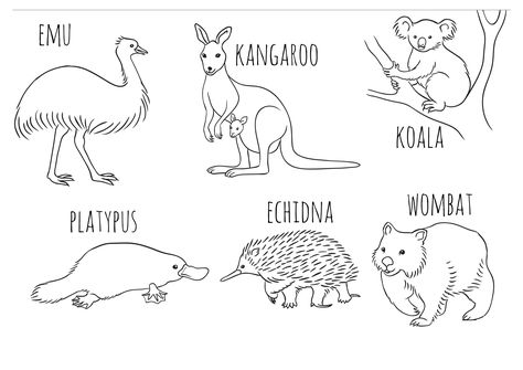 Colouring in activities for kids - Australia Day 2020 Coloring Games For Kids, Australia Crafts, Eucalyptus Flowers, Aussie Animals, Animal Line Drawings, Aboriginal Education, Australia Art, Fathers Day Coloring Page, Animal Templates