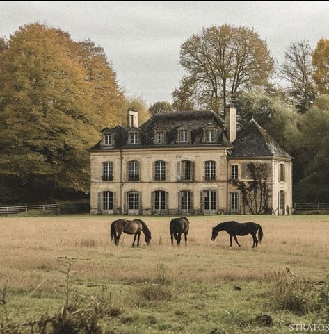 Vintage Mansion, Mansion Aesthetic, Old Money House, Architecture Antique, Countryside Life, Equestrian Estate, Chateau France, Countryside House, Horse Ranch