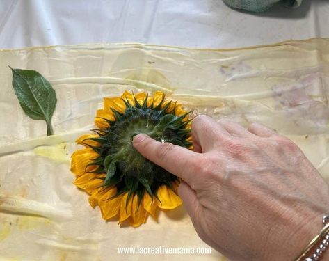 How To Eco Print On Fabric, Ecoprint Tutorial, Eco Printing Fabric, Eco Printing Tutorial, Nature Printing, Water Tutorial, Eco Dyeing Fabric, Textile Art Techniques, Eco Flowers