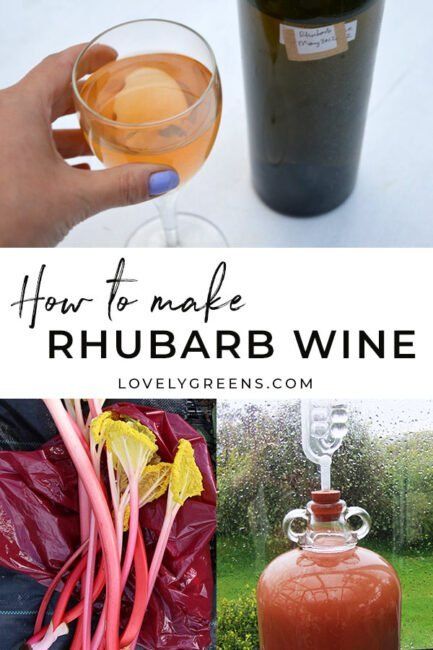 Rhubarb Wine Recipe, Rhubarb Wine, Wine Making Recipes, Homemade Wine Recipes, Homemade Alcohol, Wine Recipe, Make Your Own Wine, Homebrew Recipes, Homemade Wine