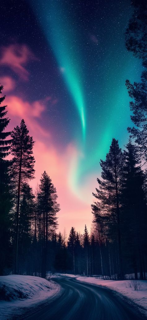 Northern Lights Wallpaper Iphone, Fall Wallpapers For Iphone, Spooky Backgrounds, Autumn Backgrounds, Iphone Wallpaper Hd Original, Spooky Background, Spooky Autumn, Autumn Looks, Fall Wallpapers