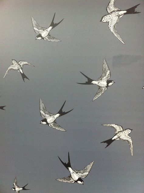 Bird Lockscreen, Swallow Wallpaper, Wallpaper Hall, Swallow Bird, Swallows, In London, Soap, London, 10 Things