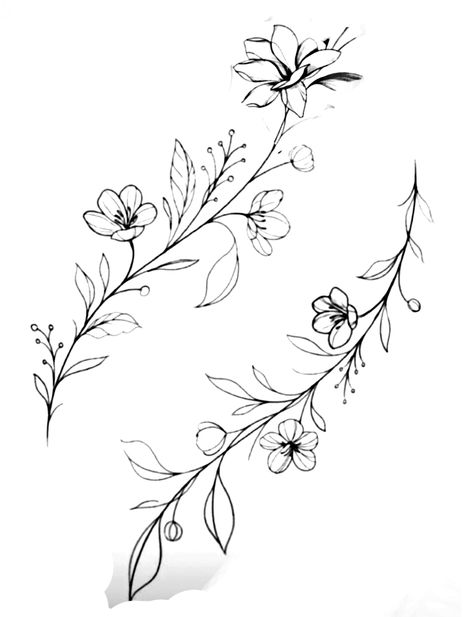 Tattoo Stencil Outline Simple, Simple Flower Tattoo Outline, Vine Tattoo Stencil, October Birth Flower Tattoo, Flower Vine Tattoos, Simple Flower Tattoo, October Birth Flowers, Floral Tattoo Shoulder, Tattoo Shoulder