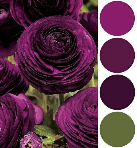 Purple Complimentary Colors, Aubergine Color Palette, Plum Color Palette, Color Uva, Grape Color, Purple Color Palettes, Color Mixing Chart, Color Combinations For Clothes, Eggplant Color