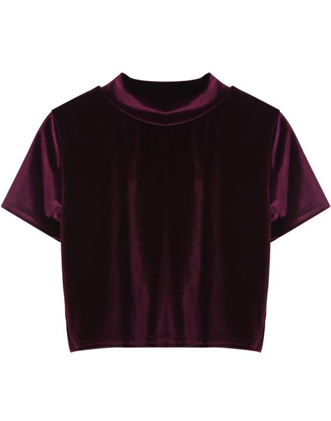 Wine Red Short Sleeve Crop Top in Velvet Red Velvet Shirt, Shirts Crop Tops, Velvet T Shirt, Shirts Crop, Purple Crop Top, Wine Shirts, Tumblr Outfits, Purple T Shirts, Latest T Shirt