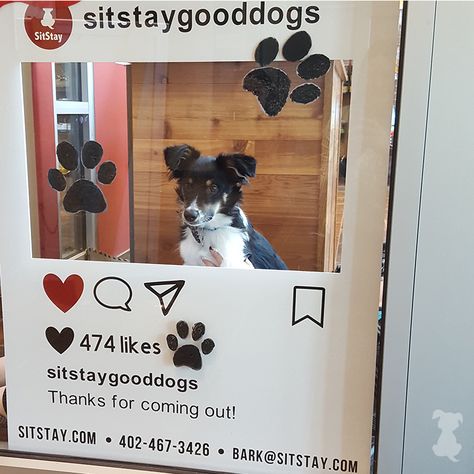 Dog Photo Backdrop Ideas, Pet Photo Booth Ideas, Dog Event Ideas, Dog Photobooth, Dog Photo Booth, Puppy Selfie, Dog Event, Dog Daycare Business, Pet Event