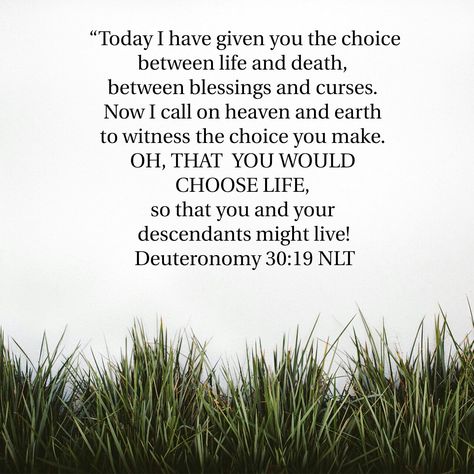 Choose life Deuteronomy 30:19 NLT Deuteronomy 30, God Baby, Powerful Scriptures, He Is Alive, Inspirational Bible Quotes, Quiet Time, Scripture Quotes, Bible Inspiration, Bible Scriptures