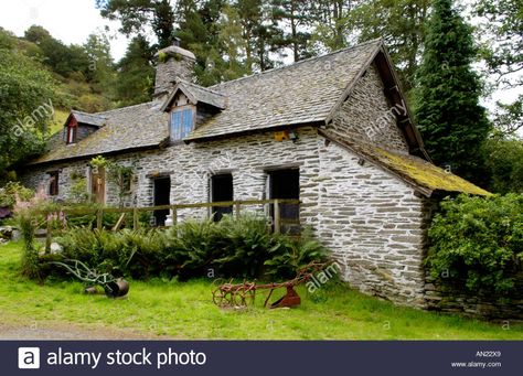 Gilfach Nature Reserve SSSI, traditional Welsh longhouse dating from late medieval period and rebuilt in the 16th century Stock Photo Medieval Period, Nature Reserve, 16th Century, Period, Stock Images, Cabin, Resolution, Stock Photos, Illustrations