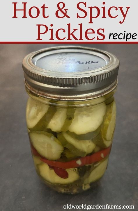 Spicy Hot Pickles Recipe, Canning Spicy Pickles Recipe, Hot Refrigerator Pickles, Homemade Spicy Pickles Recipes, Spicy Canned Pickles, Sweet And Hot Pickles Canning, Hot And Spicy Pickles, Hot Pickles Canning, How To Make Spicy Pickles