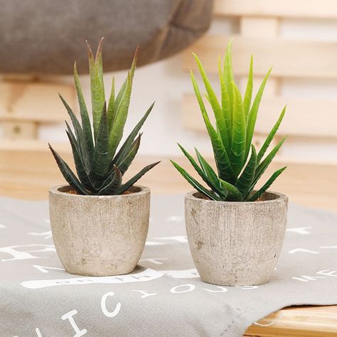 Arrives by Wed, Nov 15 Buy D-GROEE Fake Plants for Bathroom/Home Office Decor, Small Artificial Faux Succulent Greenery for House Decorations at Walmart.com Plants For Bathroom, Fake Potted Plants, Small Succulent Plants, Succulent Bonsai, Desk Plants, Garden Figurines, Fake Succulents, Paper Pulp, Bathroom Plants