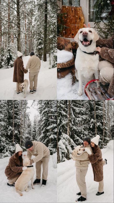 Winter Engagement Photos With Dog, Christmas Card Photo Ideas With Dog, Dog Xmas Cards, Christmas Card Outfits, Winter Couple Pictures, Winter Family Photoshoot, Couple Photography Winter, Dog Christmas Pictures, New Year Photoshoot