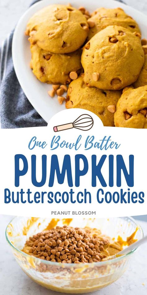 These easy pumpkin cookies are filled with sweet butterscotch chips. Kids will love to bake these easy fall treats. Pumpkin Butterscotch Cookies, Easy Fall Treats, Easy Pumpkin Cookies, Blueberry Rhubarb Jam, Butterscotch Chip, Beginner Baker, Cookies To Bake, Pumpkin Butterscotch, Pumpkin Cookies Easy