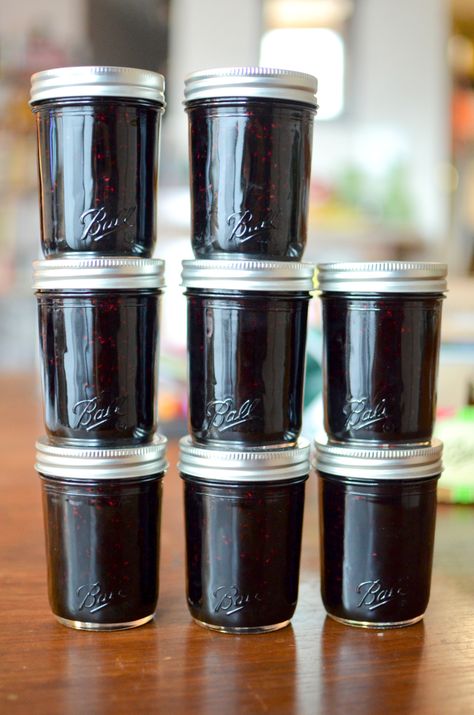 Black Raspberry Jelly Recipe, Black Raspberry Jam Recipe, Raspberry Jam No Pectin, Raspberry Jelly Recipe, Black Raspberry Recipes, Black Raspberry Jam, Jam Uses, Raspberry Canes, Food In Jars