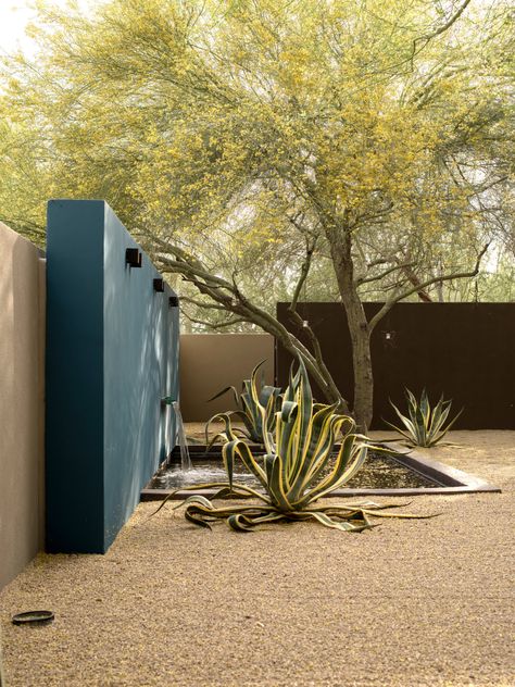 Walled Courtyard Garden, Desert Landscaping Backyard, Desert Backyard, Arizona Backyard, Walled Courtyard, Habitat Garden, Succulent Garden Design, Dry Garden, Desert Garden