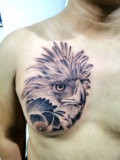 #philippineeagle #philippineeagletattoo #eagle #haribon #monkeyeatingeagle Phillipine Eagle Tattoo Design, Filipino Eagle Tattoo, Eagle Tattoo Design Chest, Philippine Eagle Tattoo Design, Philippine Eagle Tattoo, Eagle Tattoo Chest, Drawing Eagle, Eagle Tattoo Design, Eagle Chest Tattoo