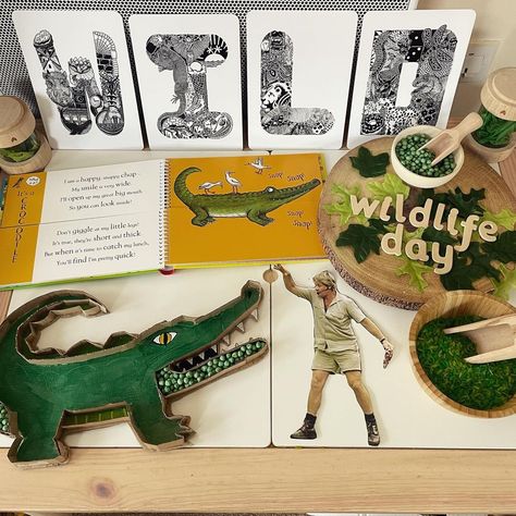 Steve Irwin Day Activities, Steve Irwin Day, Hunter Birthday, Flisat Table, Reptile Party, Nature Hunt, Crocodile Hunter, Wildlife Day, Eyfs Activities