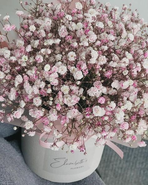 Floral Therapy, Gypsophila Flower, Boquette Flowers, Flower Gift Ideas, Nothing But Flowers, Flower Therapy, Beautiful Bouquet Of Flowers, Luxury Flowers, Bridal Flowers