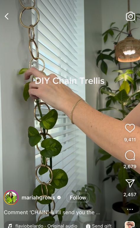 Diy Chain Trellis, Diy Trellis Ideas Indoor, Chain Trellis, Diy House Plant Trellis, Chain Trellis For Plants, Diy Wire Plant Trellis Indoor, Diy Copper Plant Trellis, Copper Trellis For Houseplants, Diy Trellis