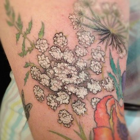 Carrot Flower Tattoo, Wild Carrot Tattoo, Queen Anne's Lace Tattoo, Tattoo Rework, Lace Tattoo Heart, Paisley Lace Tattoo, Lace Tattoo White, Lace Flower Tattoos, Vintage Lace Tattoo